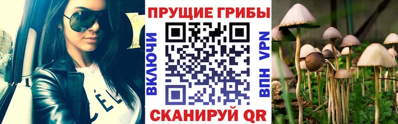 MEGA зеркало darknet клад Галлюциногенные грибы GOLDEN TEACHER Бутурлиновка